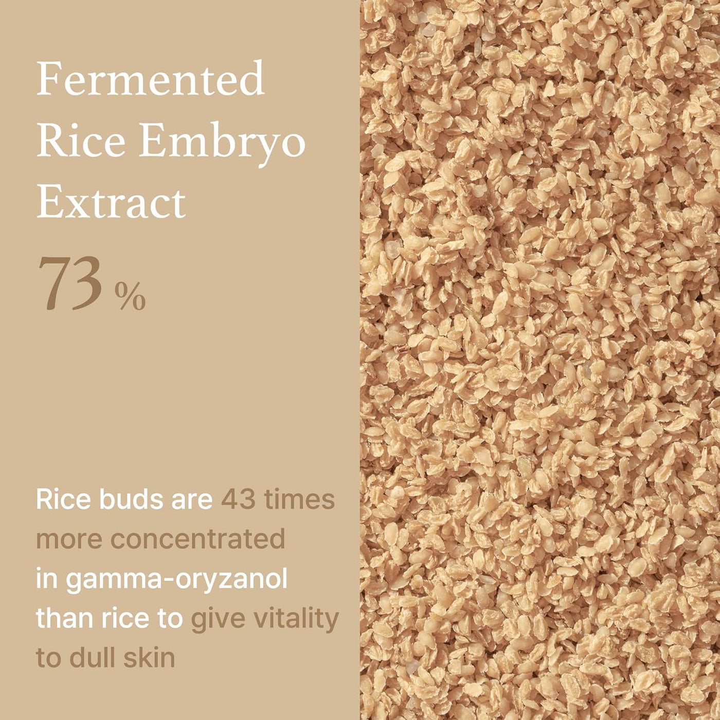 I'm from Rice Serum, 73% Korean Fermented Rice Embryo Extract Boosts Collagen, Vitality, Radiant Glowing Skin, Niacinamide, Vitality to Dull Skin, Nourishing, Moisturizing Impression Wear